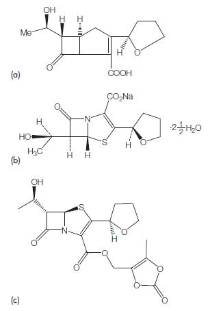 120410-24-4 Pharmacokinetics of BiapenemBiapenem