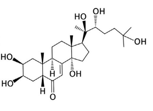 5289-74-7 20-hydroxyecdysoneStructureSynthesisBiological functions