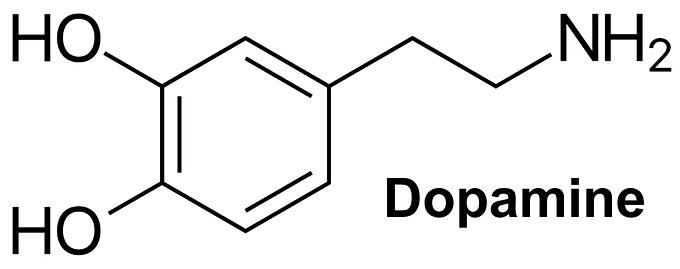 51-61-6 DopamineDiscoveryPropertiesSynthesis and release