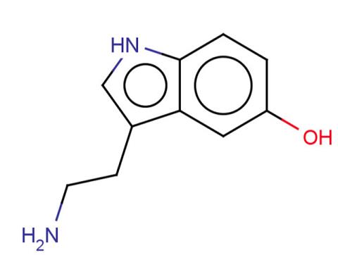5-Hydroxytryptamine.png