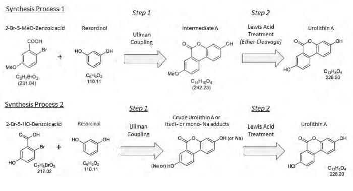 Synthesis of Urolithin A