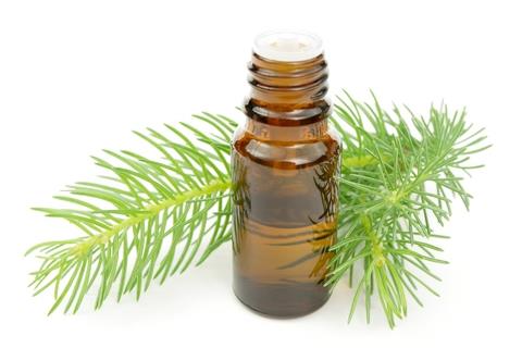 Pine needle oil.jpg