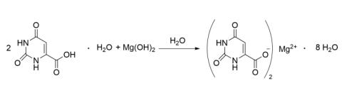 synthesis of magnesium orotate