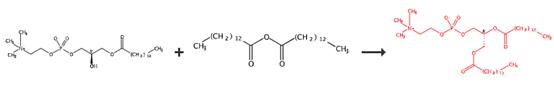 二肉豆蔻酰磷脂酰胆碱（DMPC）的合成与应用