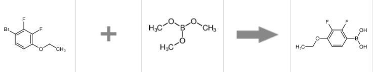 2,3-二氟-4-乙氧基苯硼酸的合成反应式