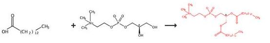 二肉豆蔻酰磷脂酰胆碱的合成路线