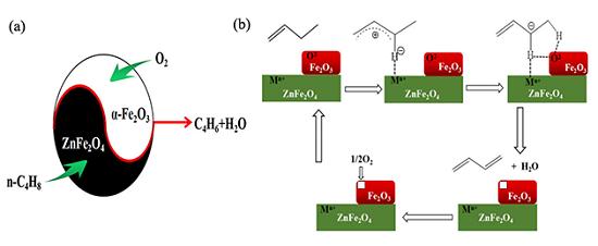 α-Fe2O3/ZnFe2O4两相催化剂上丁烯氧化脱氢的界面双分子活化策略