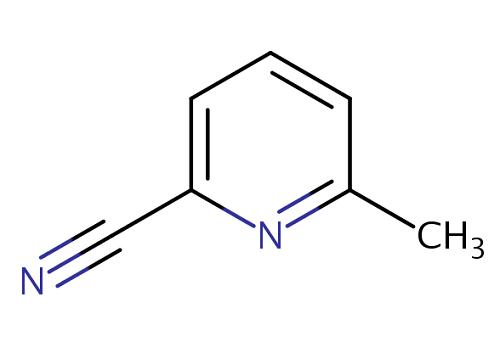 6-甲基-2-吡啶腈的制备方法