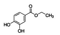 3, 4-二羟基苯甲酸乙酯的研究进展与制备