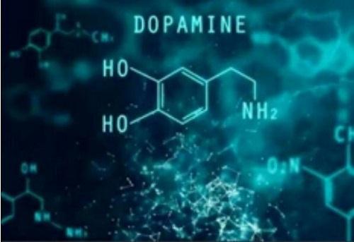 “多巴胺”熟悉又陌生的词