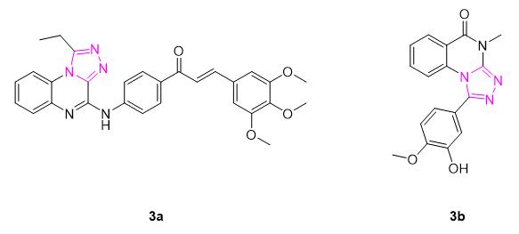 1,2,4-三氮唑衍生物作为微管蛋白调节剂