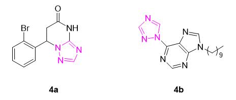 1,2,4-三氮唑衍生物作为抗惊厥药物