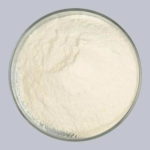 9004-65-3 Hydroxypropyl methyl celluloseHPMCusesapplicationproperties