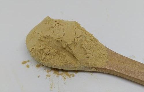 岩藻黄质在食品中的应用