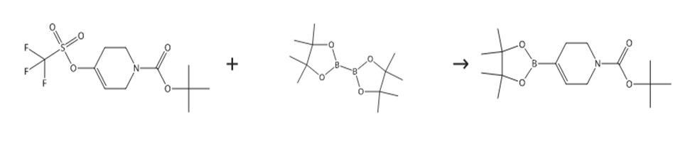 N-Boc-1，2，5，6-四氢吡啶-4-硼酸频哪醇酯的合成路线