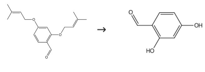 图2 2，4-二羟基苯甲醛的合成路线