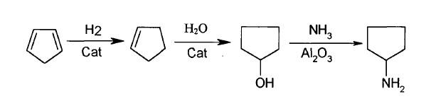 1,3-环戊二烯制得环戊醇的催化氨解合成环戊胺.jpg