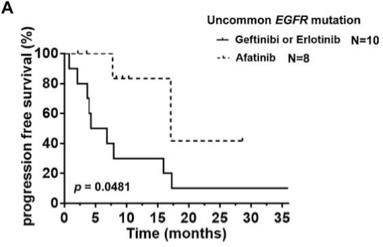 常见与罕见EGFR突变患者无进展生存