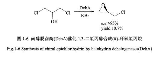 卤醇脱卤酶(DehA)催化1,3-二氯丙醇(1,3-DCP)合成(R)-环氧氯丙烷.jpg