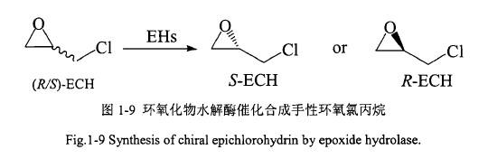 环氧化物水解酶(EHs)来拆分外消旋环氧氯丙烷.jpg