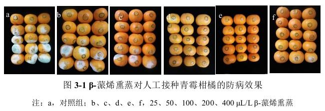 β-蒎烯熏蒸对人工接种青霉柑橘的防病效果.jpg