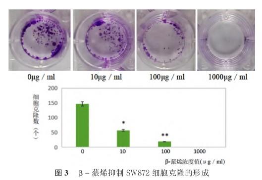 β-蒎烯抑制Sw872细胞克隆的形成.jpg