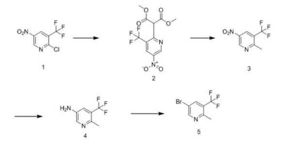 5-溴-2-三氟甲基吡啶的合成路线