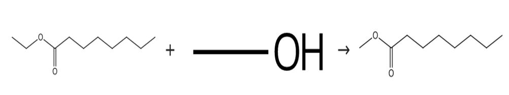 图2辛酸甲酯对的合成路线