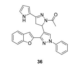 2,3-苯并呋喃衍生物对Src激酶产生显着抑制.jpg