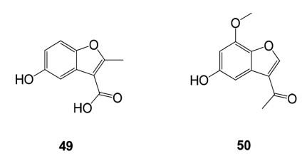 2,3-苯并呋喃衍生物对α-葡萄糖苷酶的活性具有抑制作用.jpg