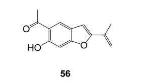 2,3-苯并呋喃衍生物对RSV LONG和A2菌株的抗病毒作用.jpg