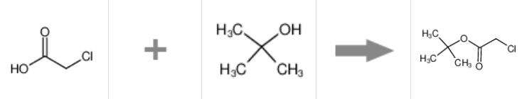 图1 氯乙酸叔丁酯的合成反应式.png