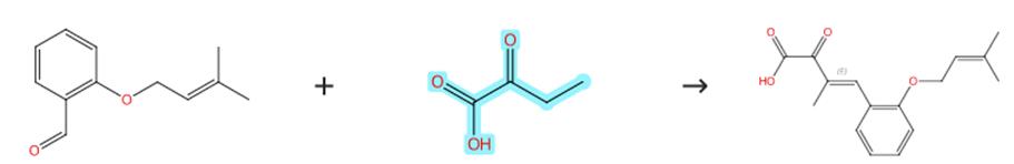2-酮丁酸的aldol缩合反应