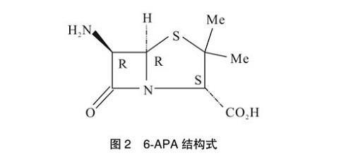 舒巴坦酸的中间体6-APA.jpg