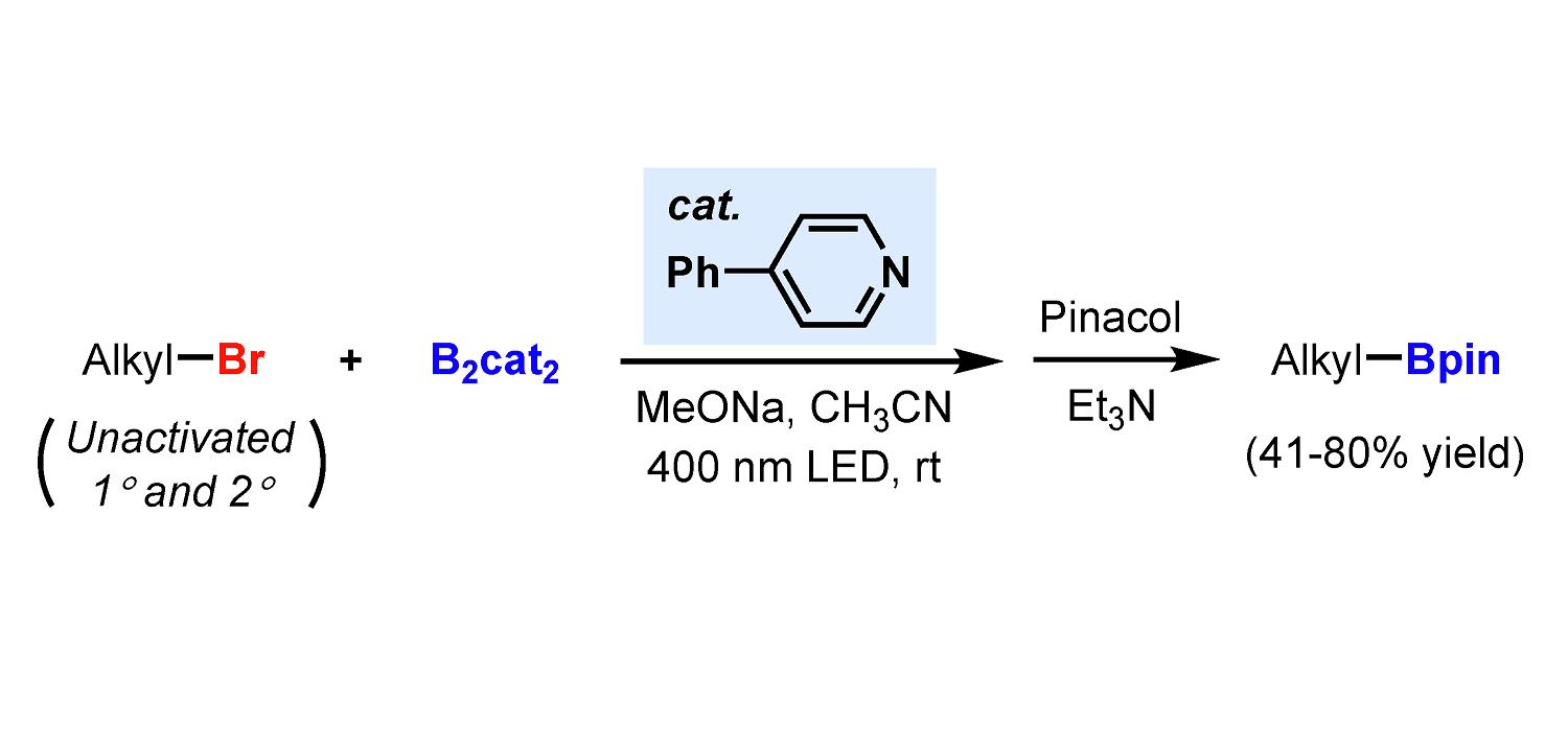 4-苯基吡啶催化自由基硼化反应.png