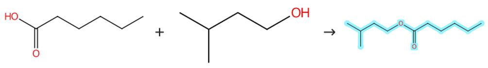 己酸异戊酯的制备方法