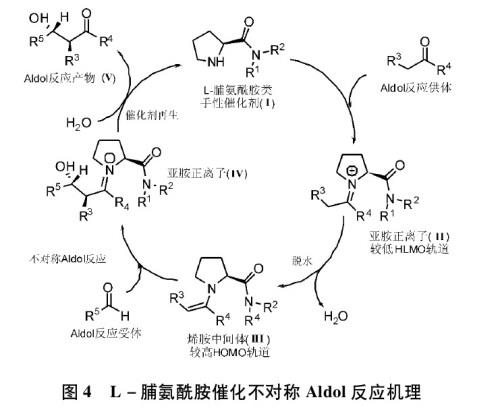 L-脯氨酰胺催化不对称Aldol反应机理.jpg