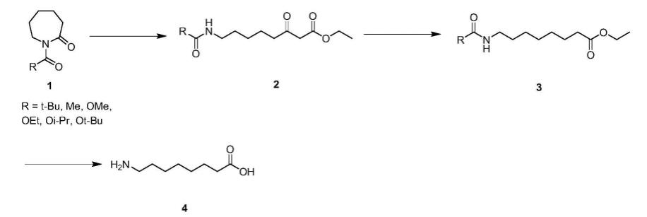 8-氨基辛酸合成路线