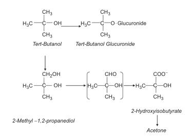 Figure 1 Major metabolic transformation pathways of tert-butanol in rats.