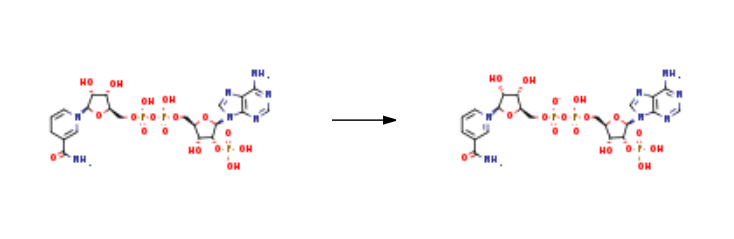 Triphosphopyridine nucleotide synthesis