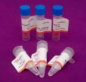 禽腺病毒PCR试剂盒的应用