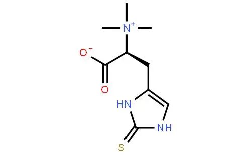 497-30-3 L-(+)-ErgothioneineIntroductionSourceBenefits