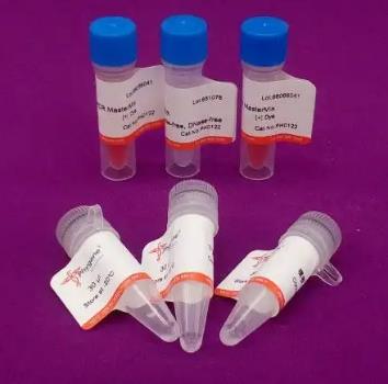 戈氏放线菌PCR试剂盒的应用