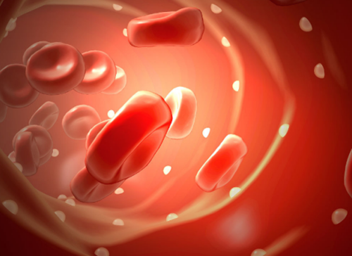 红细胞生成素对于肾病患者的用途