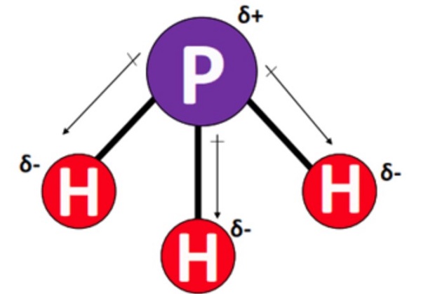 7803-51-2 PhosphinePhosphorous trihydridePH3polarnon-polar covalent