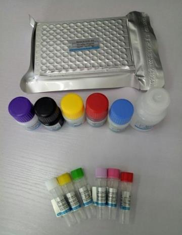 鸡痘病毒PCR试剂盒.png