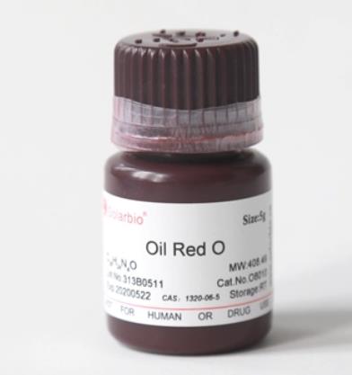 油红O染色液(细胞专用).png