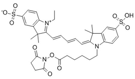 CY5-NHS酯的化学结构式