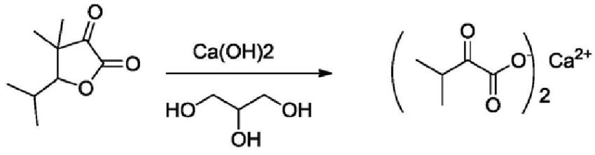 酮缬氨酸钙的制备.png
