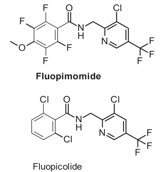 1309859-39-9 FluopimomideFMfungicideFluopyramnematicide